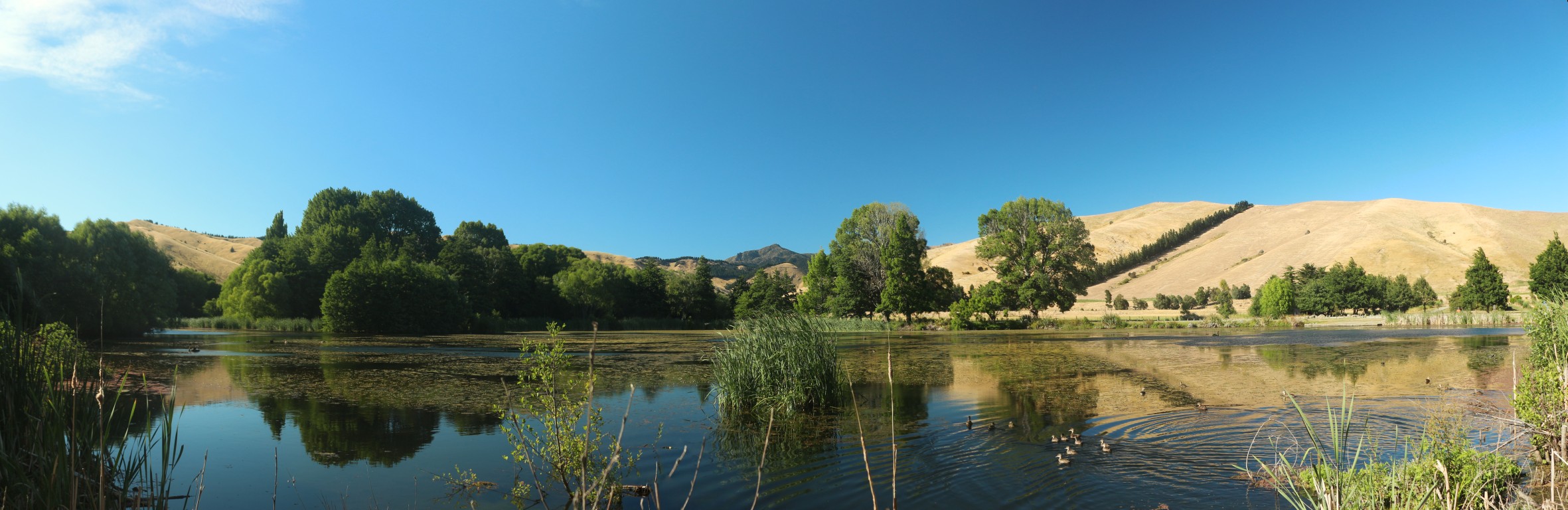 Der Stausee am Taylor-Damm  in Neuseeland