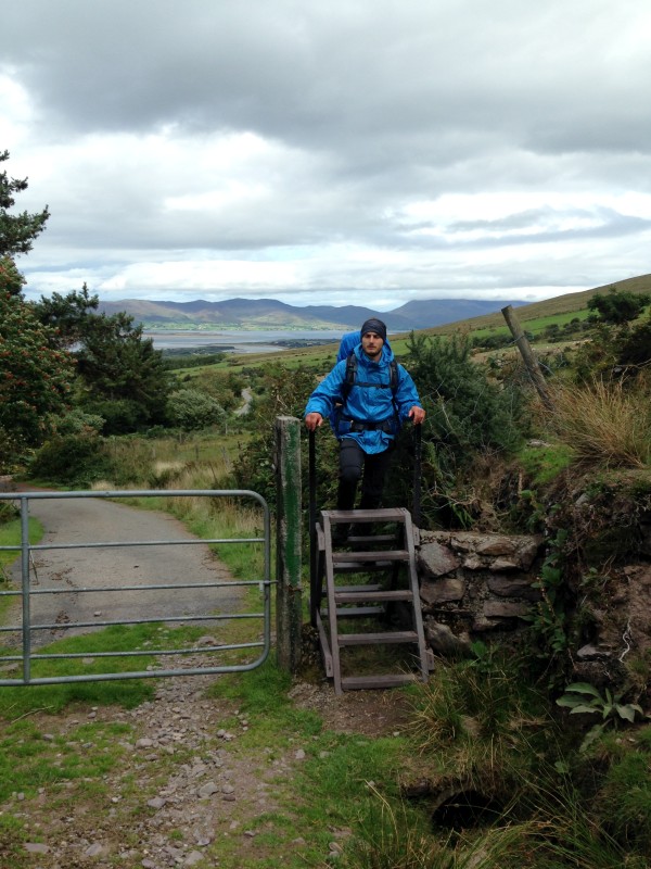Eine von hunderten Leitern
