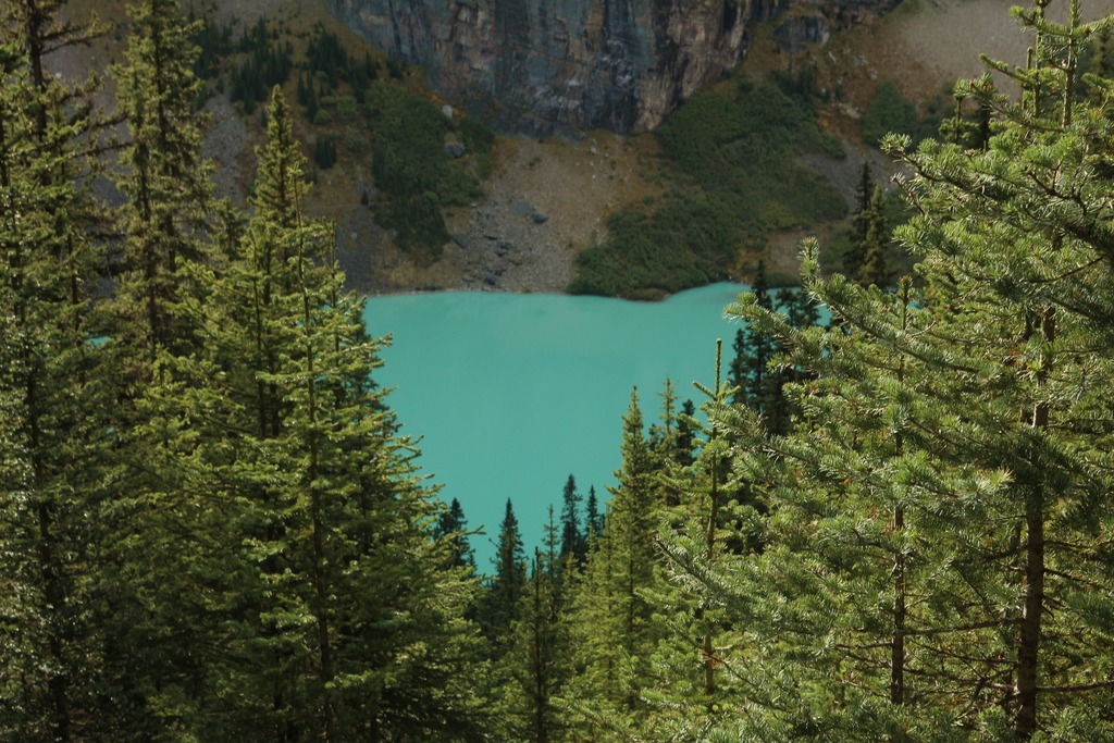 Lake Louise von oben. Hier sieht man sch&ouml;n die blaue Farbe