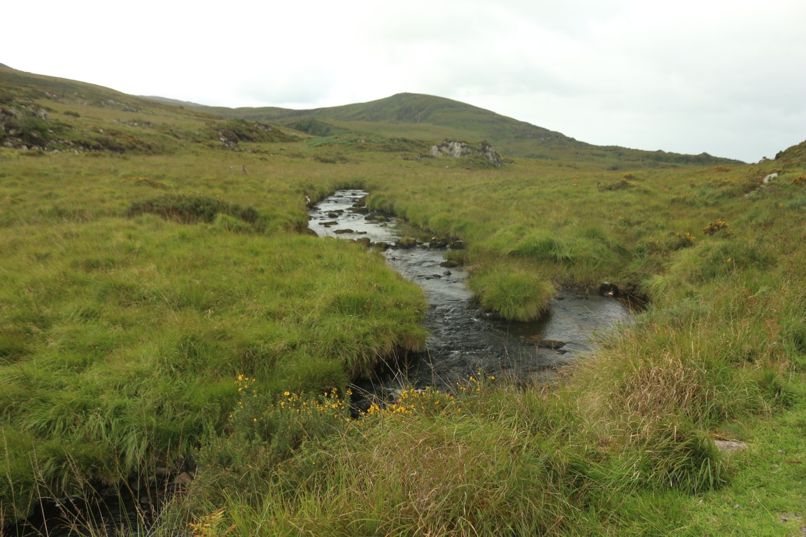 Hochebene in Richtung Black Valley