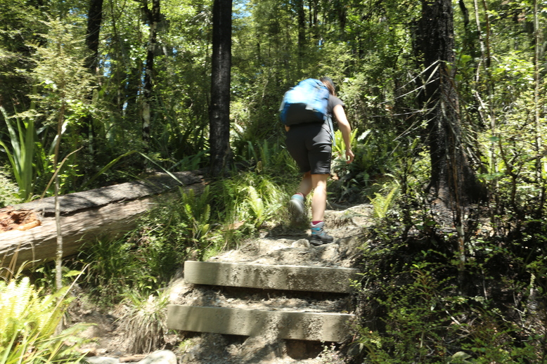 Aufstieg am Mount Somers Track