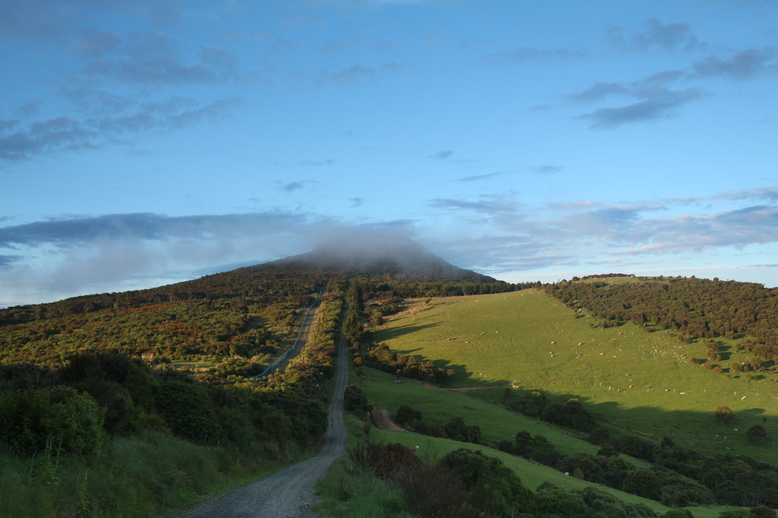 Nebelschwaden im Abendrot