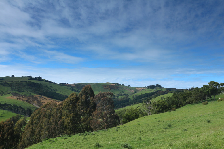 Endlose saftige Weiden