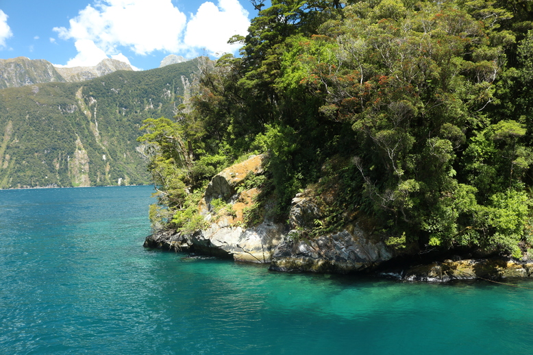 Kristallglares Wasser