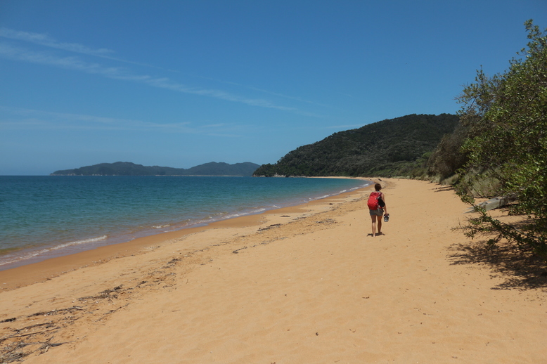 Das Paradies auf Erden: Totaranui Beach