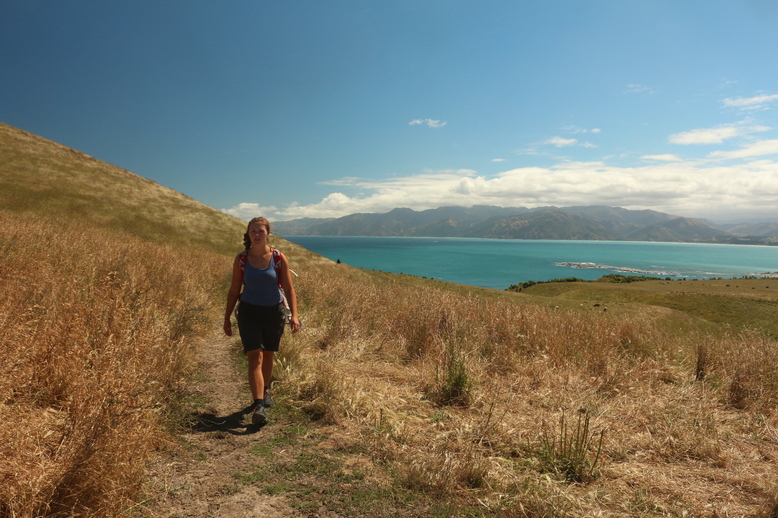 Auf der Kaikoura Peninsula