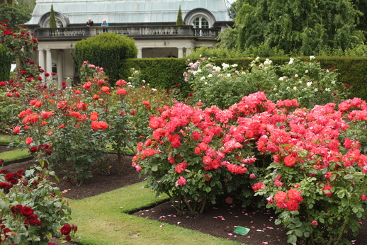 Der Central Rose Garden